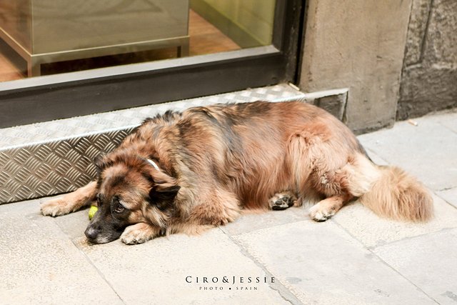 CiroJessie相约西班牙那一抹地中海蓝