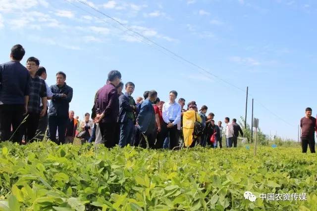 中盐安徽红四方肥业股份有限公司,中盐安徽红四方有机肥