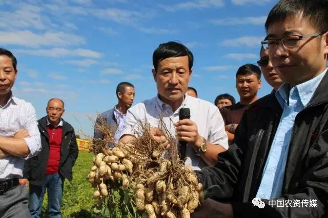 中盐安徽红四方肥业股份有限公司,中盐安徽红四方有机肥