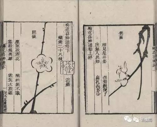 跟《开学第一课》学解字：“槑”字你就不认识