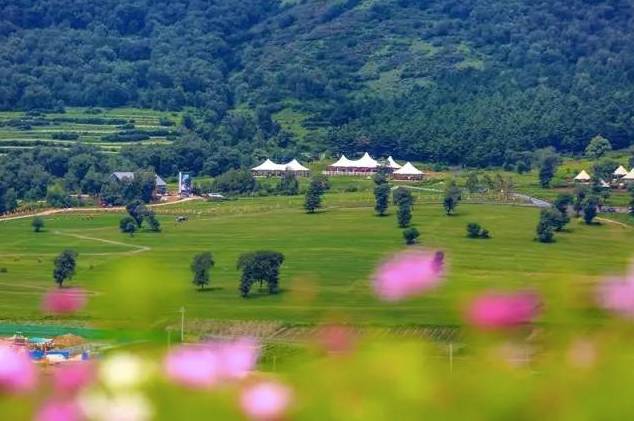 神盘再现高品质洋房,神盘奥伦达