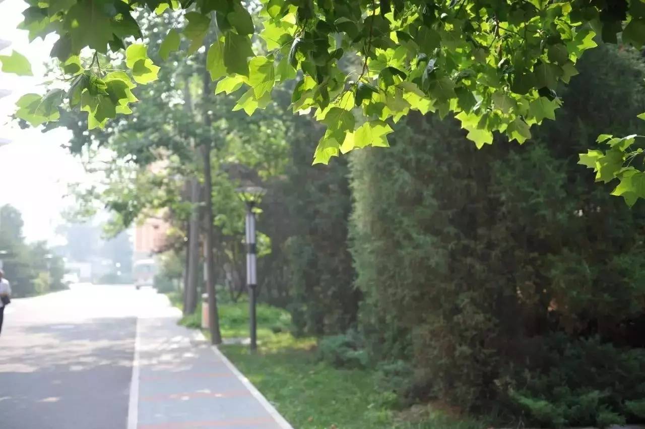 北京交通运输职业学院最新消息,北京运输职业学院排名