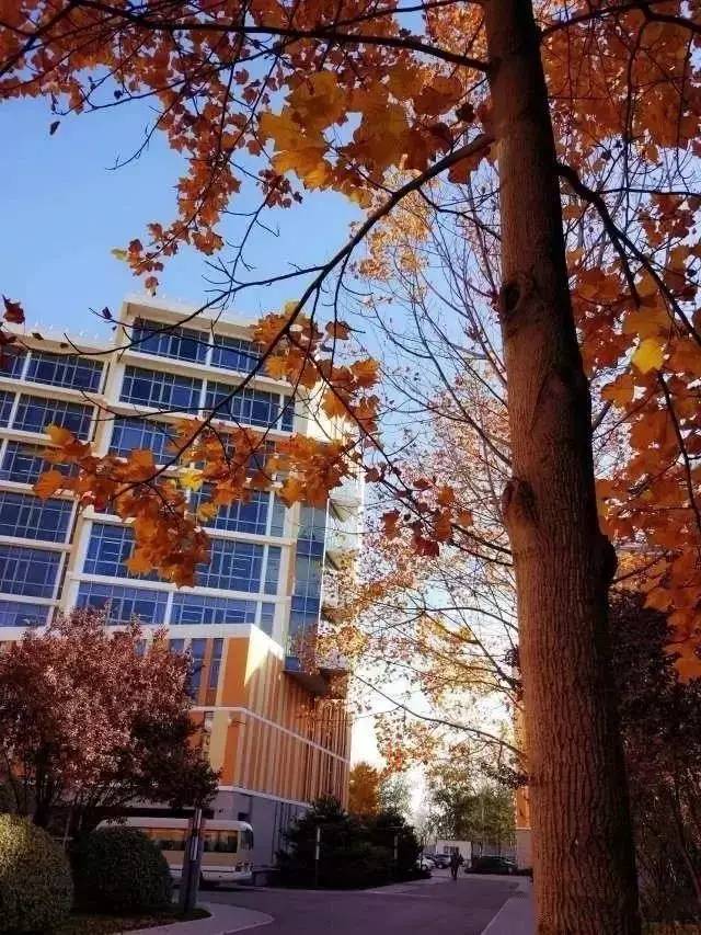 北京交通运输职业学院最新消息,北京运输职业学院排名