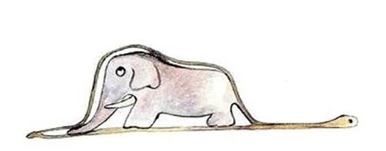 生来就是一个吃货|浮想联翩解剖学第二弹