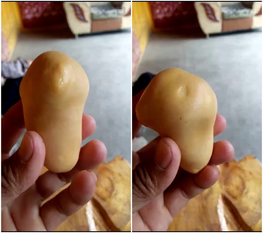 杀鸡发现鸡宝,杀鸡后发现疑似鸡宝