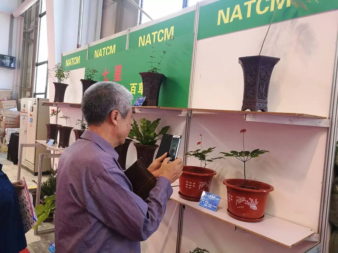 我校在东博:展传统医药特色,推中医文化发展