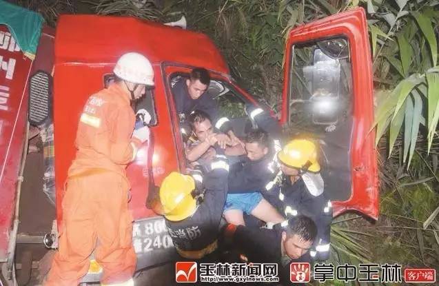 广西特产排名前十名品种,广西玉林的十大名茶