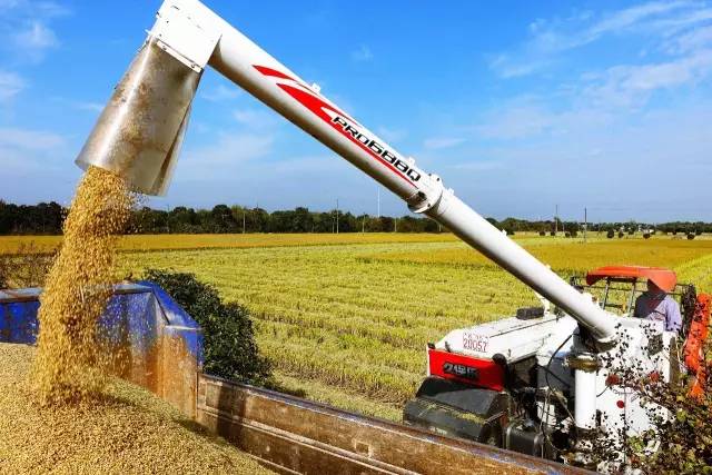 若你看过了望亭的前世今生，你会爱上这个“稻香小镇”！