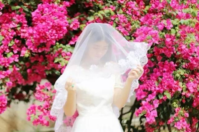 我们相爱吧无尾熊全集,我们相爱吧无尾熊