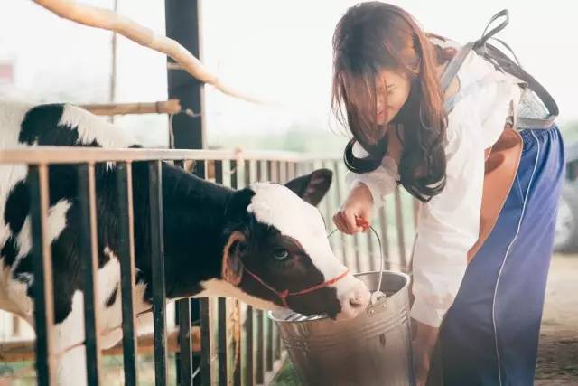 我们相爱吧无尾熊全集,我们相爱吧无尾熊