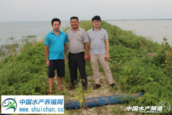 小龙虾属于什么养殖方法,小龙虾怎么养殖个头大