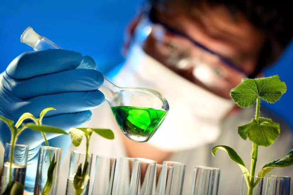 最新农作物新品种,农业部最新发布水稻新品种