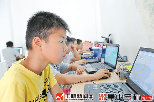 机器人总动员国语,机器人总动员解说