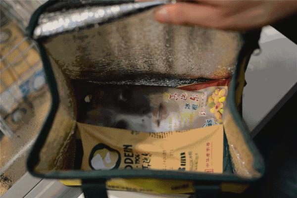 全国一年700家分店!这么丑的冰棍一周竟爆卖23W支!如今来温州啦~