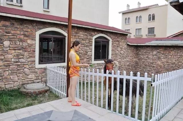 青岛温泉度假酒店便宜,即墨最大的温泉度假酒店