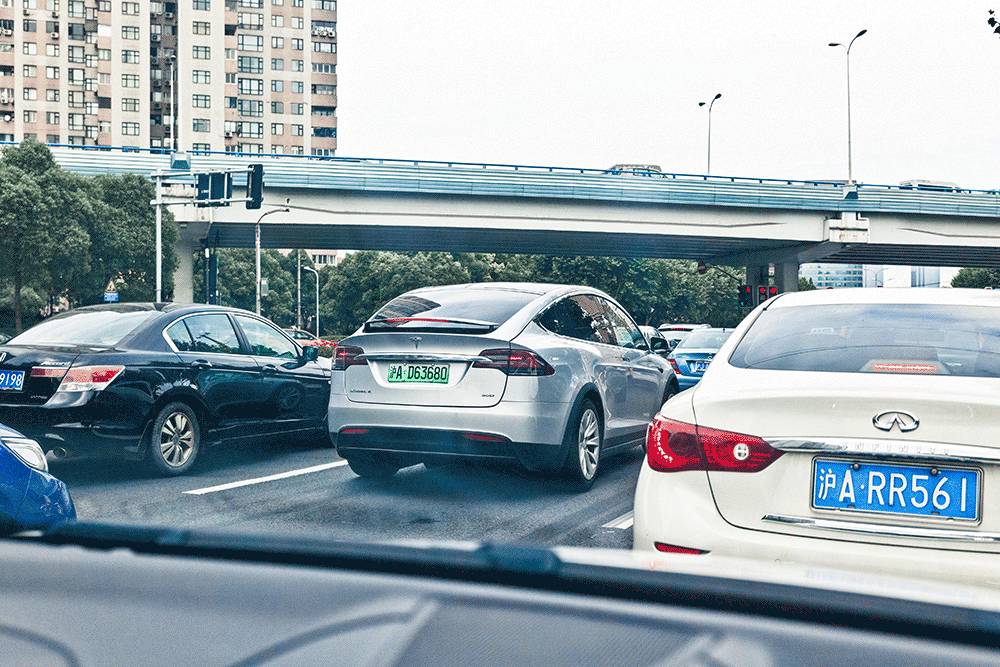 免费的午餐都有什么,免费的午餐真的是又香又好吃