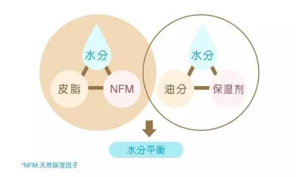 换季皮肤全攻略,换季皮肤突然爆痘怎么回事