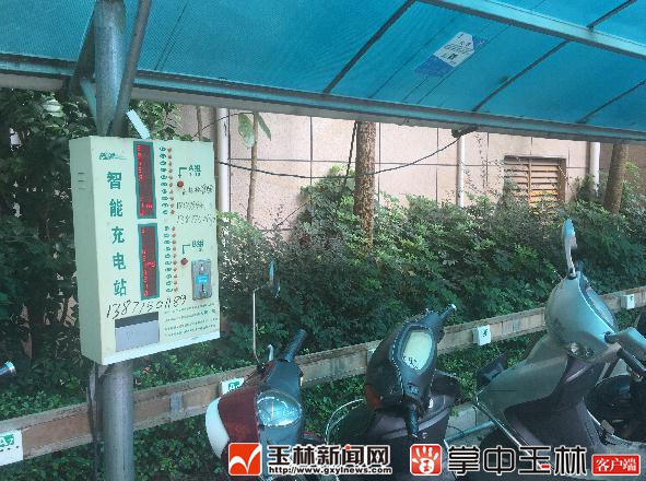 广西特产排名前十名品种,广西玉林的十大名茶