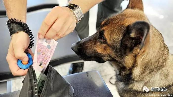 来德国必买的物品,来德国必买物品