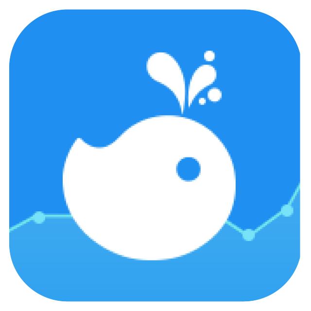 证金汇金操盘手法,证金投资策略