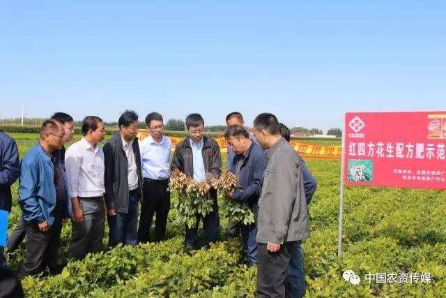 中盐安徽红四方肥业股份有限公司,中盐安徽红四方有机肥