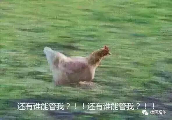 海外淘宝可以包邮啦！德国网红海淘的中国神器你可能见都没见过！