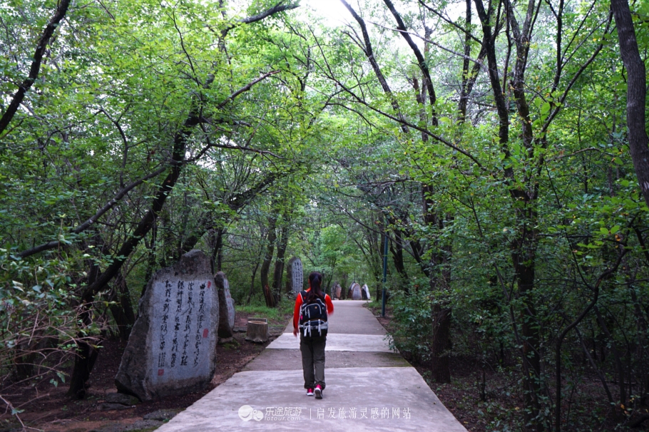 吊水楼瀑布是一道亮丽的风景线,镜泊湖吊水楼瀑布洪水