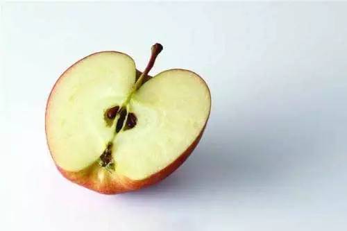 茄子千万不能这样吃,后果严重,相当于在服毒!