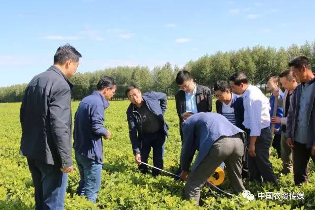 中盐安徽红四方肥业股份有限公司,中盐安徽红四方有机肥