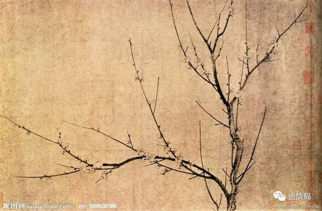 跟《开学第一课》学解字：“槑”字你就不认识