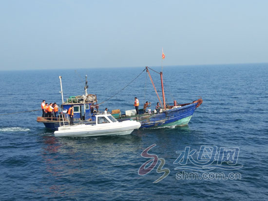 十年禁渔期鱼变多会进化成怎样,最长休渔期的鱼