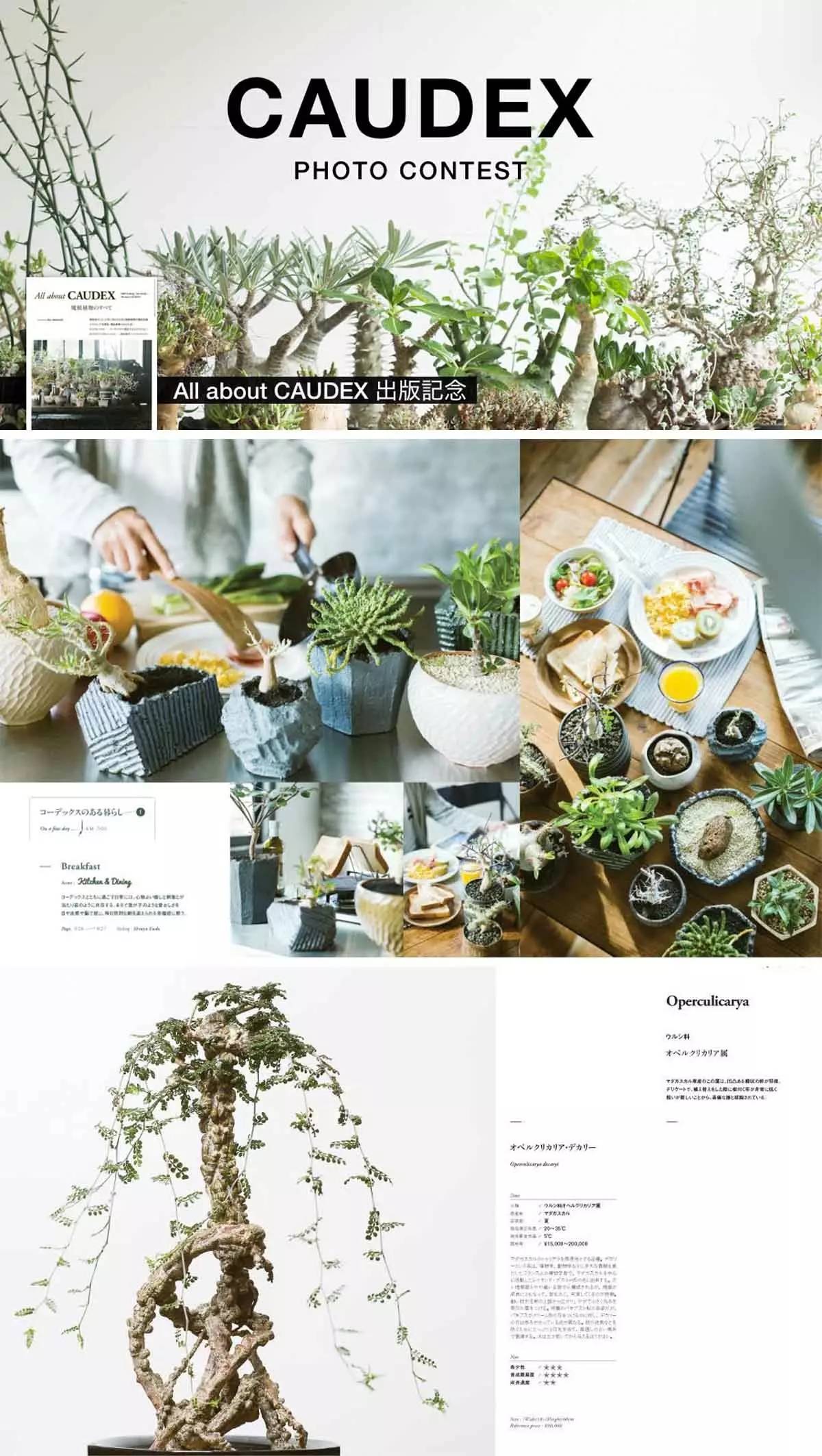 NBHD被人吐槽的支线，偏偏我就喜欢│老司机的十件套