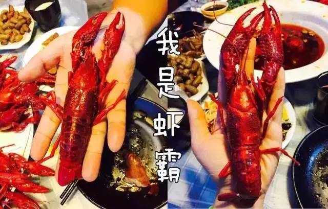 南充吃货最爱的这些公交路线，沿线美食把这条微信都撑爆了！