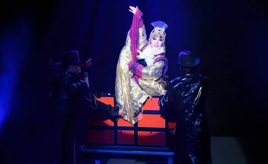 新垣结衣养宠物,新垣结衣的宠物