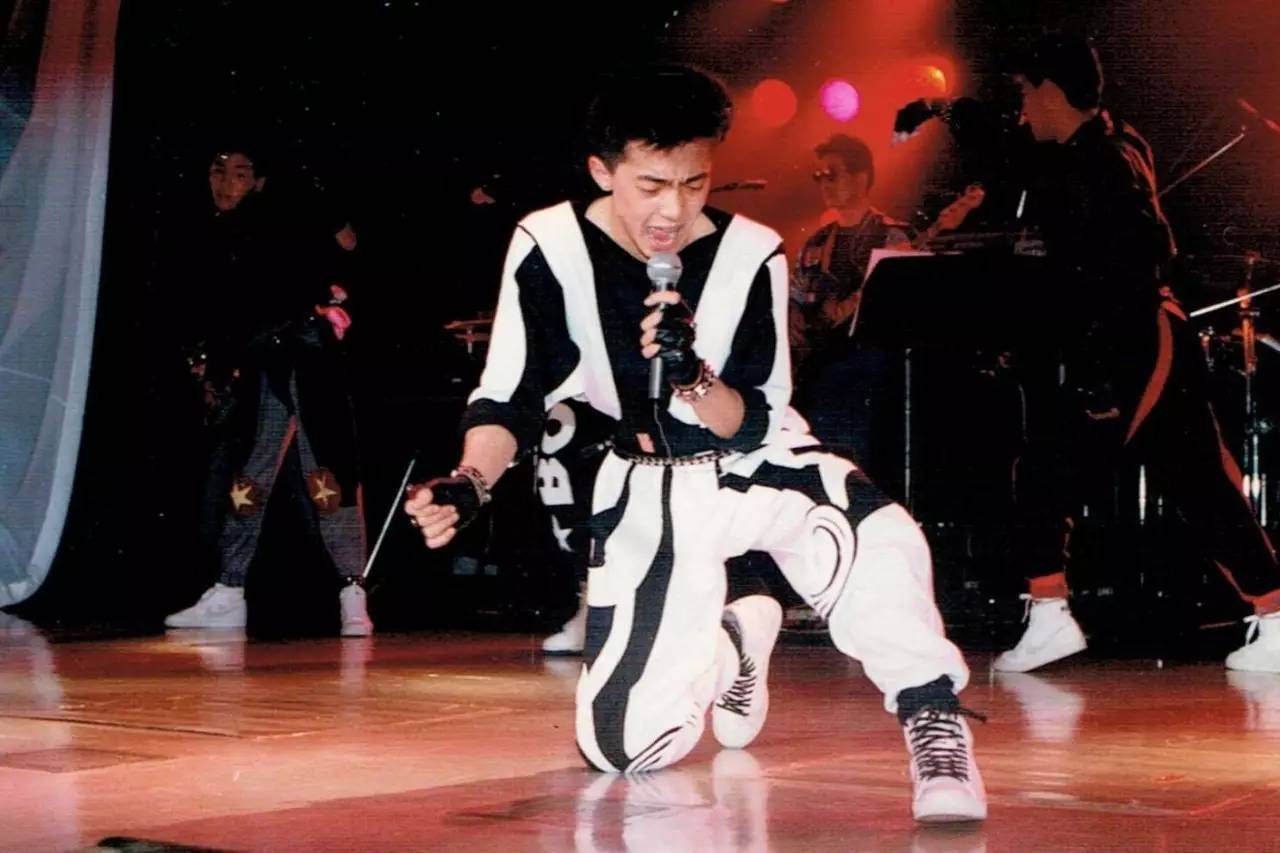 新垣结衣养宠物,新垣结衣的宠物