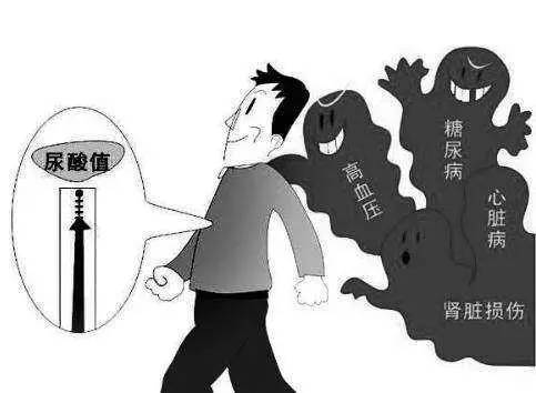 帮您对抗痛风和高尿酸