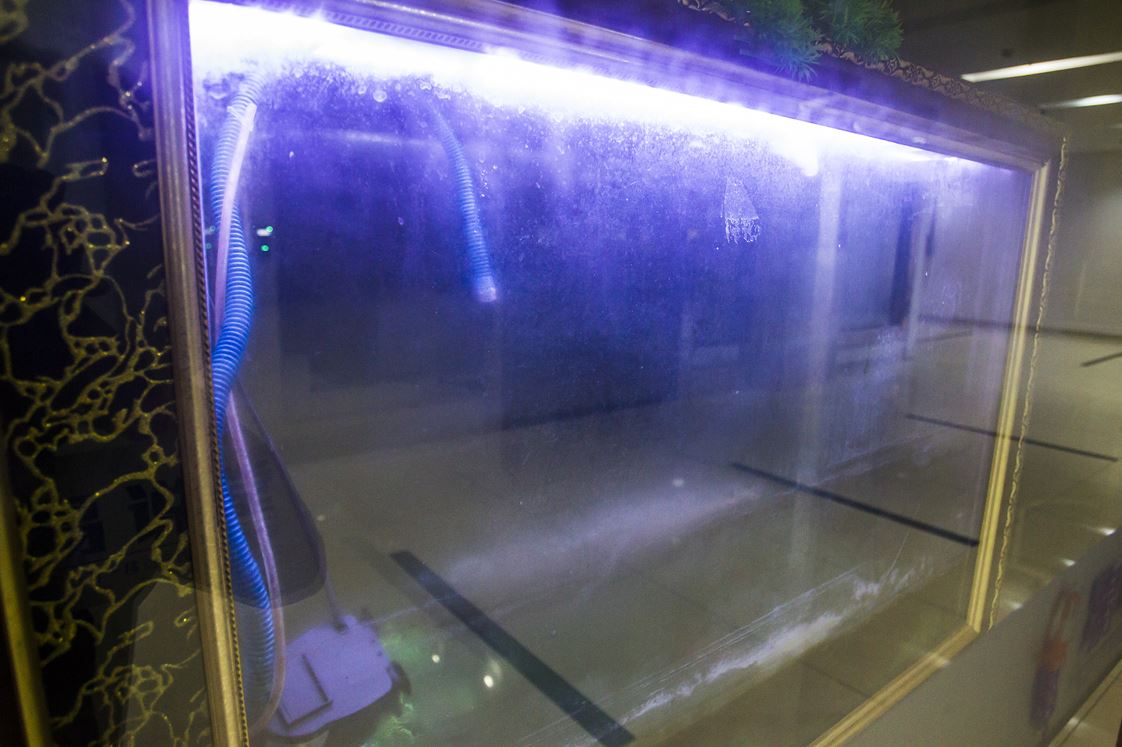 广州首例培训机构被罚超27万,英语培训机构倒闭事件