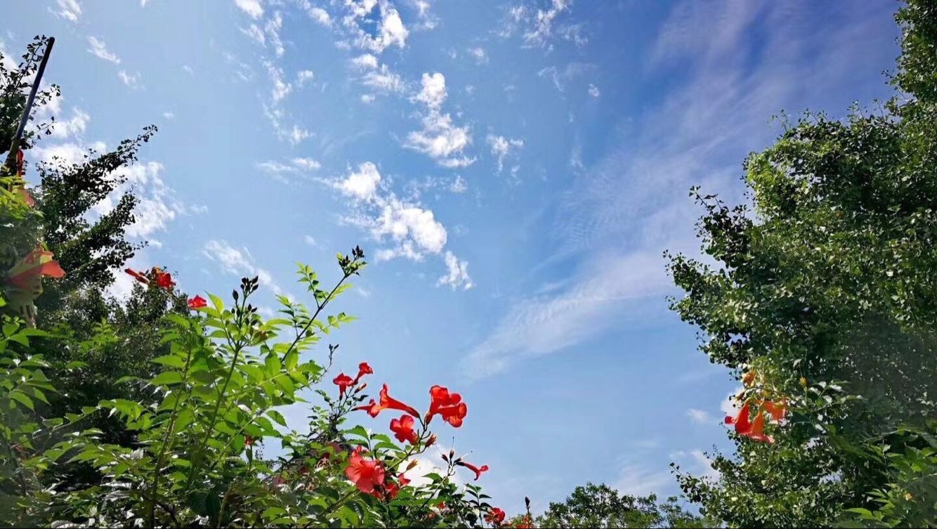又是一年蒙山夜宿季