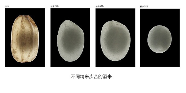 清酒的分级方法,日本清酒怎么选购