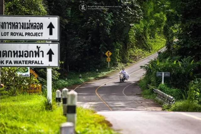 我们相爱吧无尾熊全集,我们相爱吧无尾熊