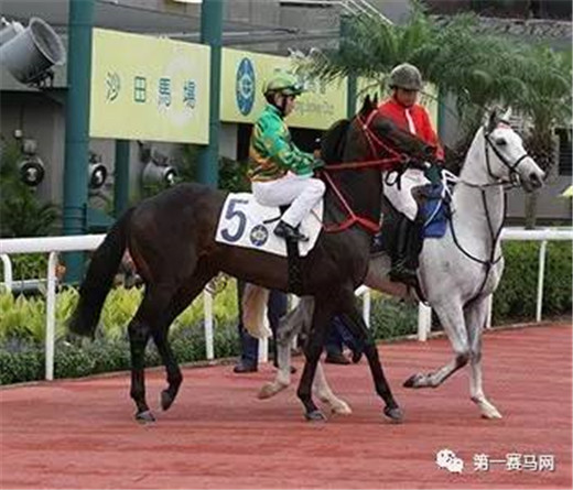 韩国公开赛2023冠军,韩国公开赛首金