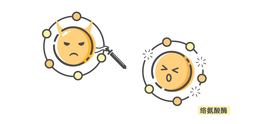 晒黑的黑色素怎么才能淡化,晒黑了去除黑色素就能白吗