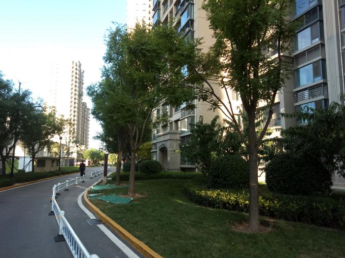 荣耀v9play王者荣耀体验测评,荣耀v9play游戏测试