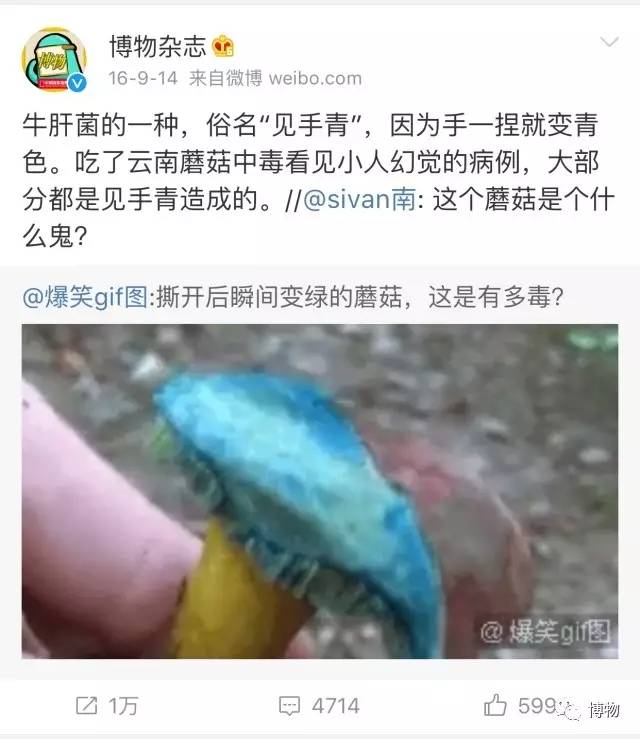 为啥马里奥要吃蘑菇才能长大？
