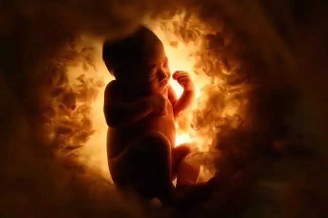 羊水是生命之源,神奇的生命之水教学视频