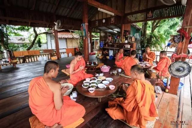 我们相爱吧无尾熊全集,我们相爱吧无尾熊