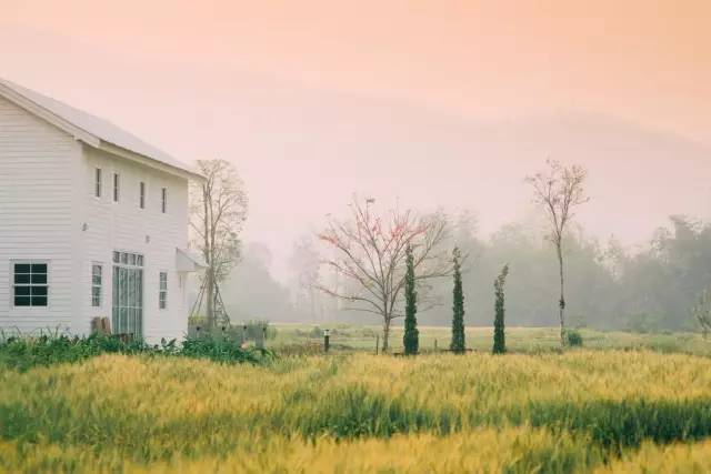 我们相爱吧无尾熊全集,我们相爱吧无尾熊