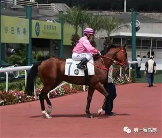 韩国公开赛2023冠军,韩国公开赛首金