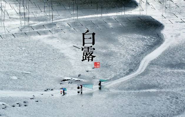 二十四节气白露转秋凉,白露节气落叶知秋凉