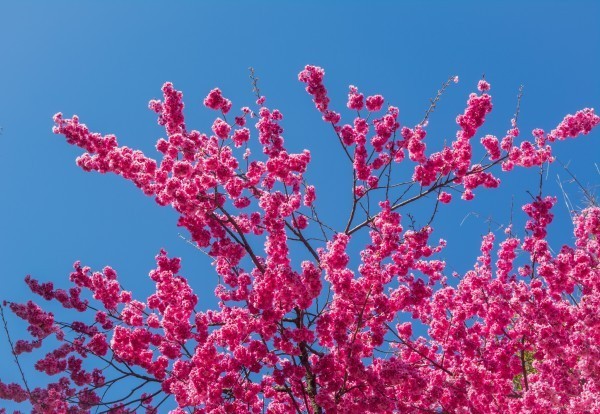 Hi,我是小可,我又回来了,产后第一次出行,娘子军奔赴女儿国